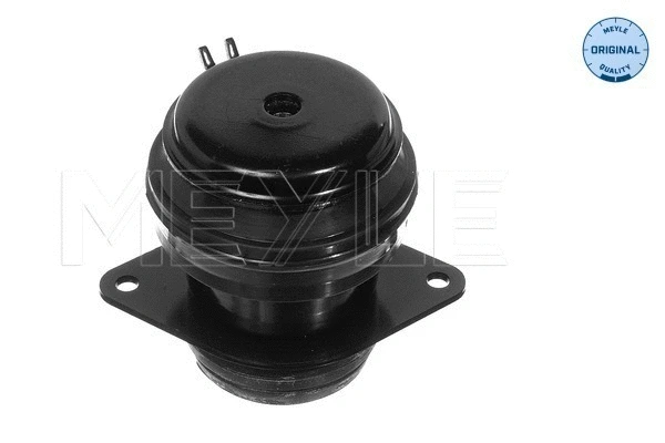 Mounting, engine (100 199 0037)