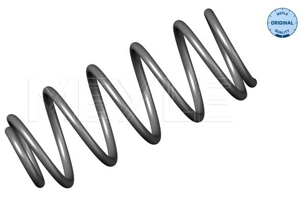 Suspension Spring (614 639 0028)