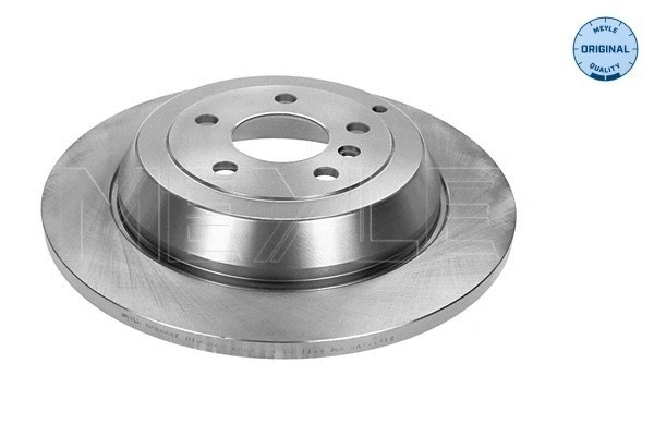 Brake Disc (015 523 0028)