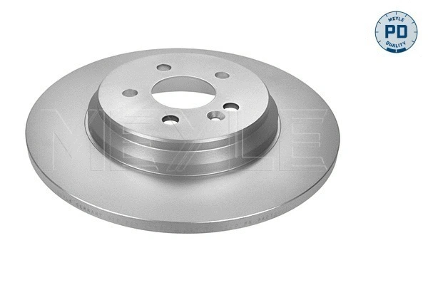 Brake Disc (015 523 0039/PD)