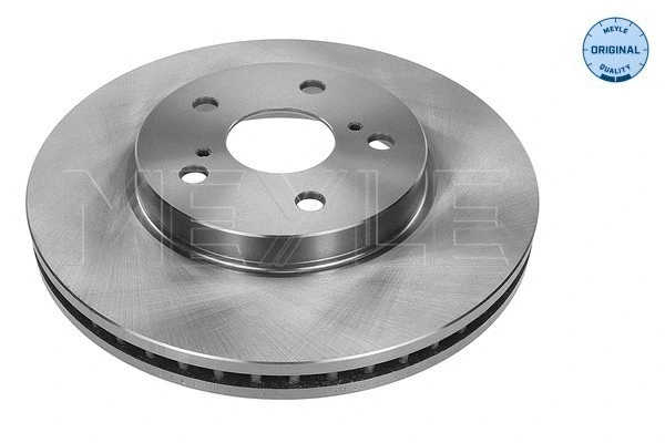 Brake Disc (30-15 521 0089)