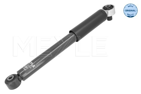 Shock Absorber (026 725 0034)