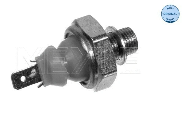 Oil Pressure Switch (100 919 0025)