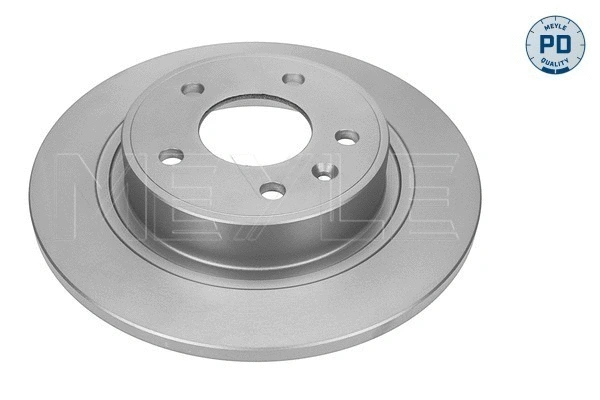 Brake Disc (615 523 0010/PD)
