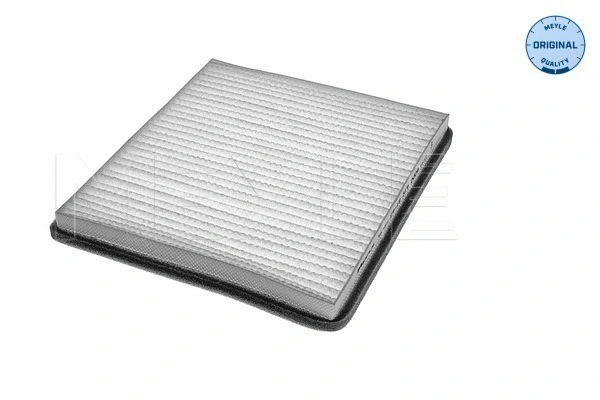Filter, cabin air (29-12 319 0008)