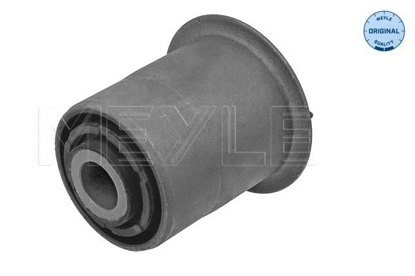 Mounting, control/trailing arm