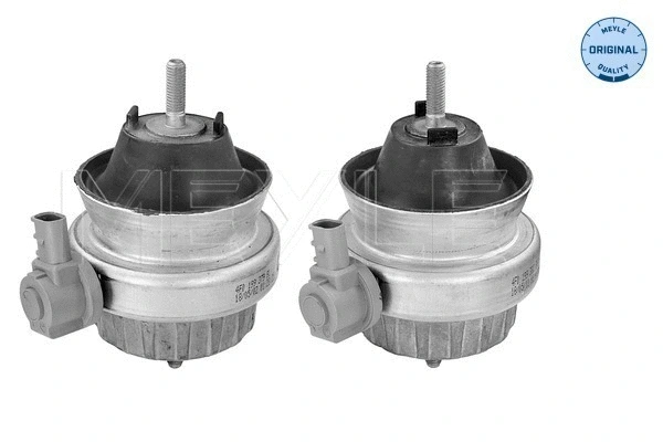 Mounting, engine
