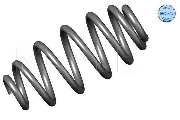 Suspension Spring (100 739 0009)