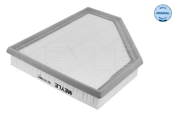 Air Filter (312 321 0045)