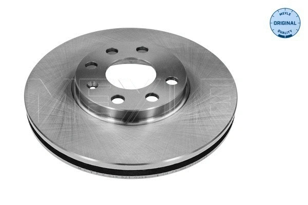 Brake Disc (615 521 0009)