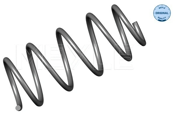 Suspension Spring (614 639 0021)