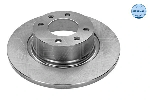 Brake Disc (40-15 523 1002)