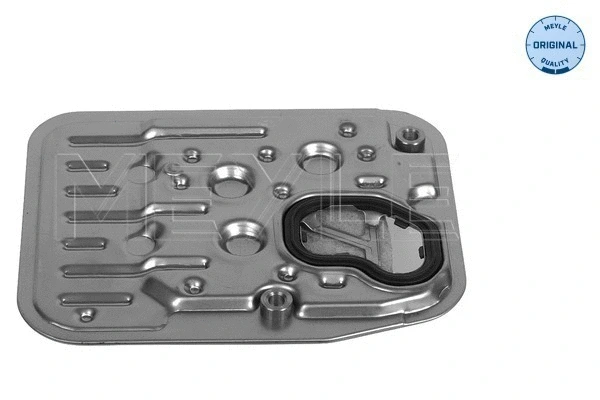 Hydraulic Filter, automatic transmission (100 325 0002)