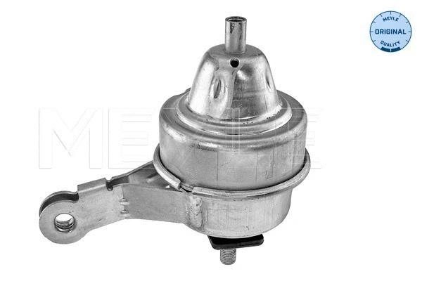 Mounting, engine (300 221 2001)