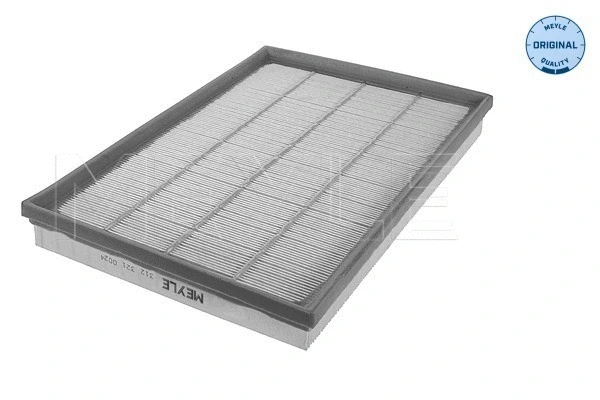 Air Filter (312 321 0024)