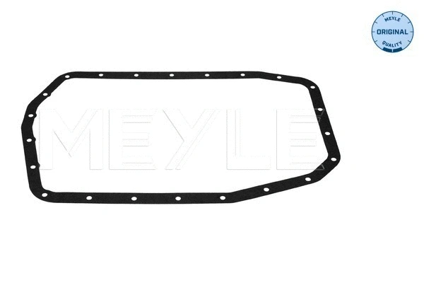 Gasket, automatic transmission oil sump (314 139 0005)