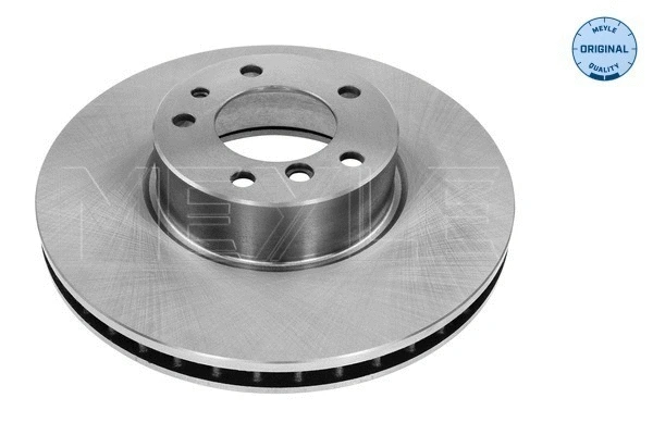 Brake Disc (315 521 3023)