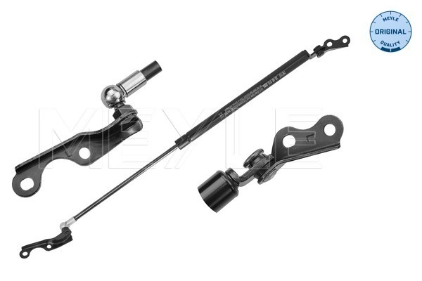 Gas Spring, boot/cargo area (30-40 910 0006)