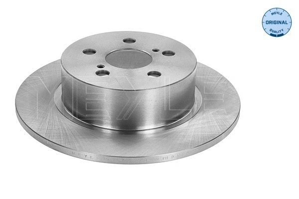 Brake Disc (30-15 523 0040)