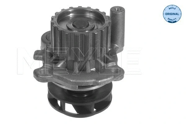 Water Pump, engine cooling (113 012 0037)