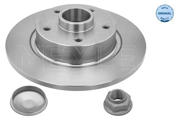 Brake Disc (16-15 523 4109)