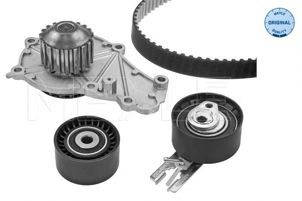 Water Pump & Timing Belt Kit (40-51 049 9000)
