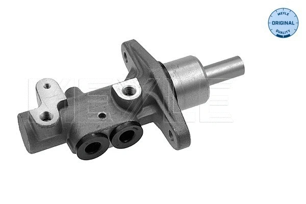 Brake Master Cylinder (100 698 0012)