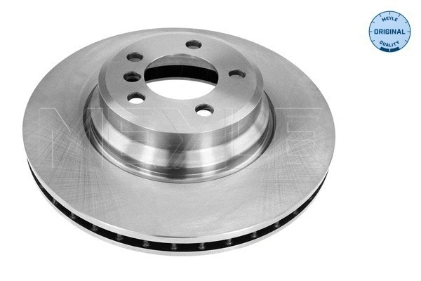 Brake Disc (315 521 3059)