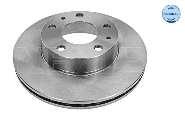 Brake Disc (215 521 0004)
