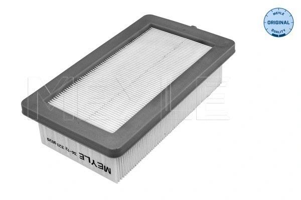 Air Filter (36-12 321 0020)