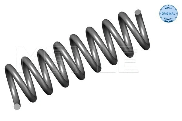 Suspension Spring (014 739 0002)