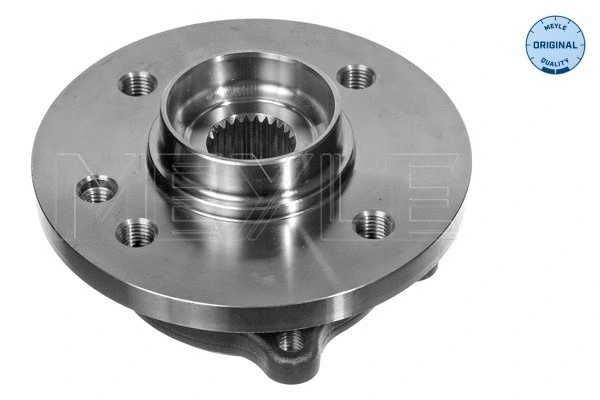 Wheel Hub (300 312 1104)