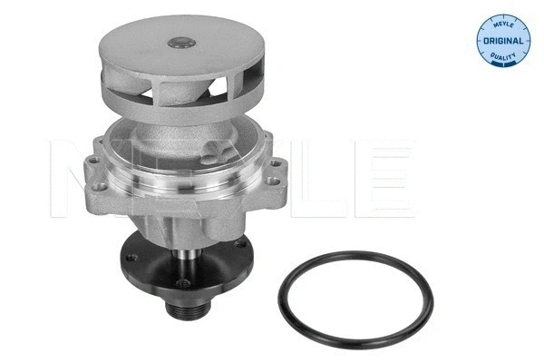 Water Pump, engine cooling (313 011 3800)