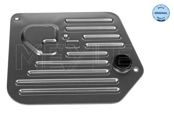 Hydraulic Filter, automatic transmission (300 243 4107)