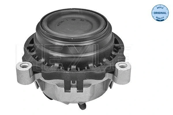 Mounting, engine (300 221 2123)