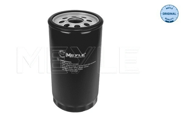 Oil Filter (234 322 0001)