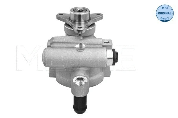 Hydraulic Pump, steering (16-16 631 0006)