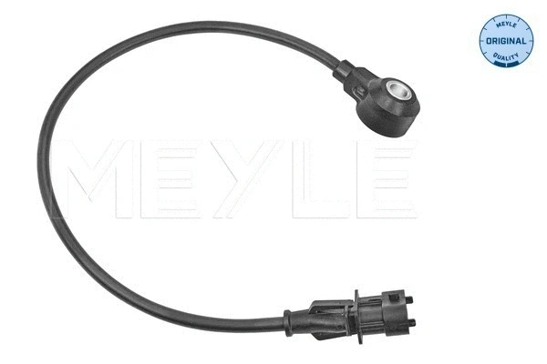Knock Sensor (614 811 0002)