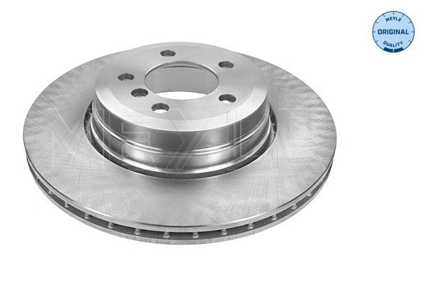 Brake Disc (315 523 0052)
