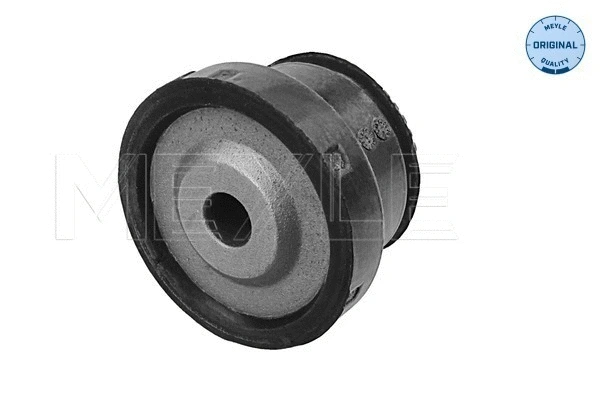 Mounting, control/trailing arm