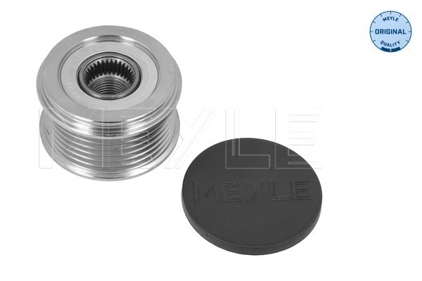 Alternator Freewheel Clutch (414 053 1000)