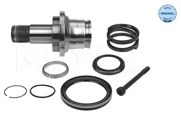 Stub Axle, differential (100 498 0244)