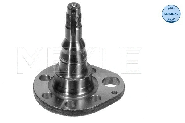 Steering Knuckle, wheel suspension (100 501 0037)