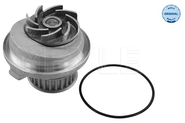 Water Pump, engine cooling (613 600 4054)