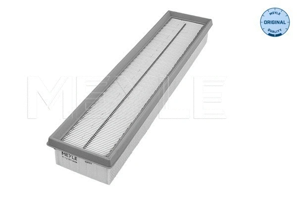 Air Filter (11-12 321 0024)