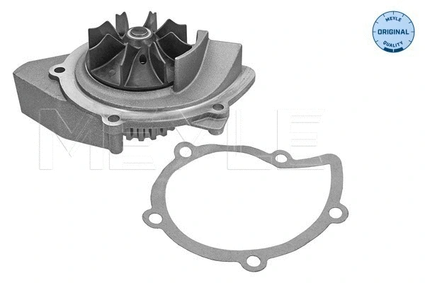 Water Pump, engine cooling (513 220 0002)