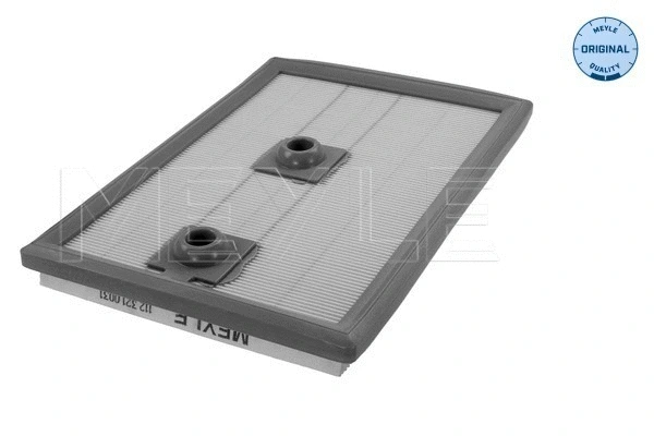 Air Filter (112 321 0031)