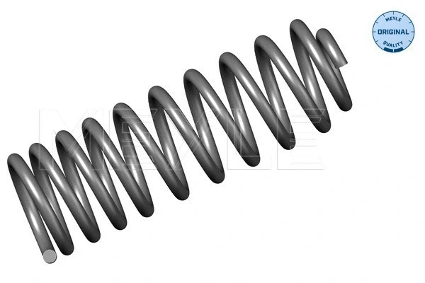 Suspension Spring (100 739 0018)