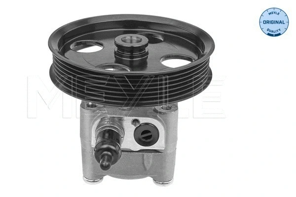 Hydraulic Pump, steering (514 631 0025)