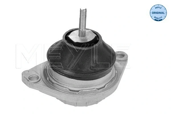 Mounting, engine (100 199 0092)